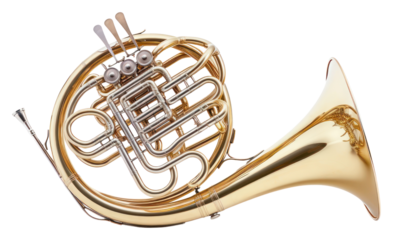 PNG French horn white background performance accessories.