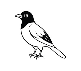 Black and white Bird line art vector on white background