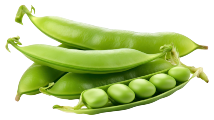PNG A green pea vegetable plant food.