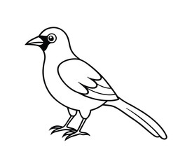 Black and white Bird line art vector on white background 