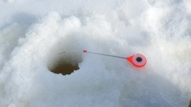 Red fishing float on rod bobbing near ice fishing hole during winter fishing. Outdoor winter activity hobby leisure recreation kind of sport. Competition in catching fish.