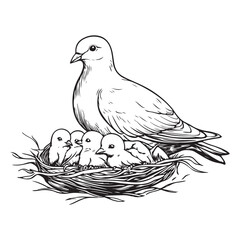 Elegant Bird with Baby Chicks in Nest Silhouette Vector Illustration, Mother bird feeding babies vector line art
