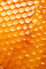 Close-Up High Resolution Honeycomb Structure