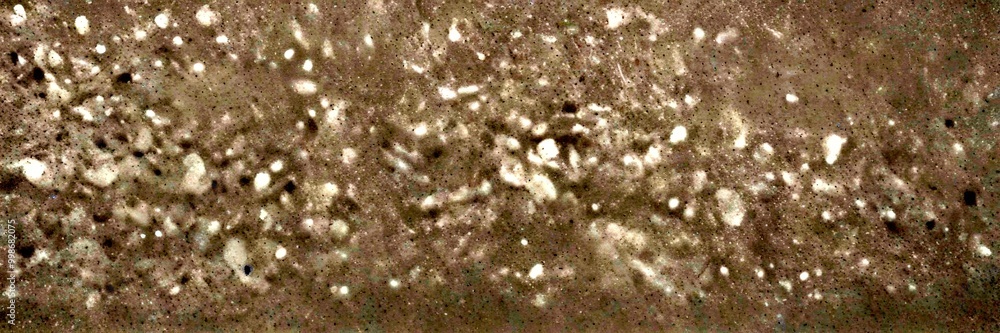 Poster a close-up view textured surface, possibly concrete or stone, with small white speckles or specks of