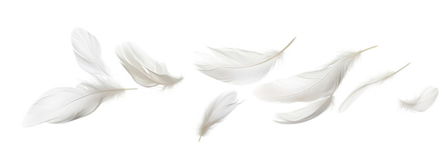Fototapeta premium PNG Real white feathers border floating art illustration.