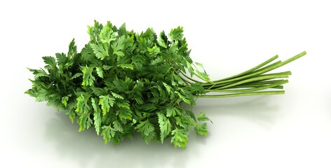 Green leaves of parsley isolated on white background. Parsley clipping path
