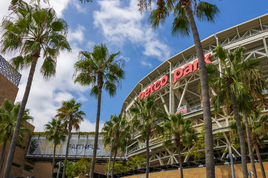 a gorgeous landscape at Petco Park with lush green palm trees blue sky and clouds in San Diego California USA
