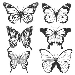 Vector Silhouette Set of Butterflies