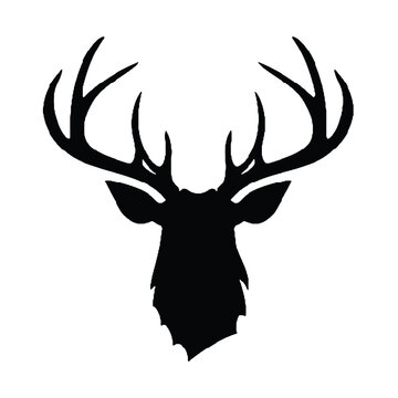recommend clip art: An elegant deer head silhouette icon set against a clean white backdrop