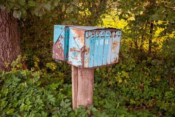 Rustic Charm: Vintage Mailbox Amidst Nature 