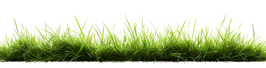 Fototapeta premium Hi Resolution image of Fresh green grass isolated against a transparent background
