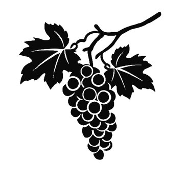 recommend clip art: Vector illustration of grapes design icon