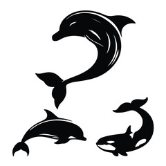 create  black silhouette  dolphin set vector with white background