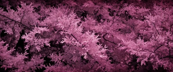 Obraz premium a close-up view tree branch with delicate pink flowers, creating a visually striking and serene scene