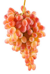 Juicy beautiful bunch of grapes isolated on white background.