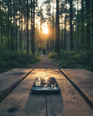 Digital Detox: Disconnecting in Nature