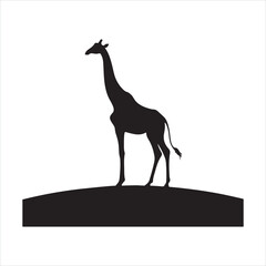 Giraffe silhouette on white background

