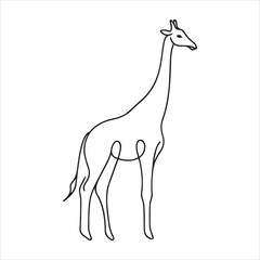 single one line Giraffe silhouette on white background

