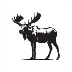 deer silhouette vector illustration, 