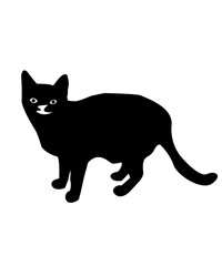 Cat SVG, Funny Cat SVG, Cat Face Svg, Cute Cat SVG, Cat Png, Cat Clipart, Cat Mom Svg, Cat Svg Bundle, Cat Silhouette Svg, Svg, PngFunny Cat SVG Bundle, Cat SVG, Kitten SVG, Cat lady svg, crazy cat la