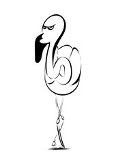 Flamingo
