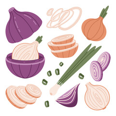 Set of onion elements. Ring, piece, half and slice of raw bulb. Vector flat illustration.