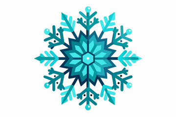 Snowflake color vector illustration