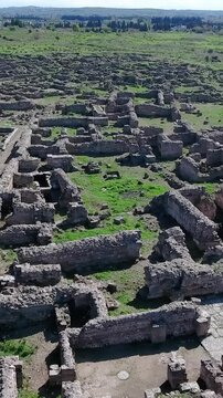 Aerial view of Ugarit's ruins an ancient city-state in Syria on a sunny day, vertical video.