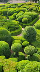 Jardins de Marqueyssac / France