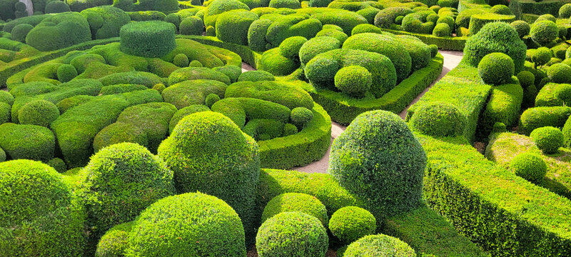 Jardins de Marqueyssac / France