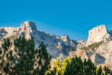 Fototapeta premium high rocky mountains with forested slopes and peaks