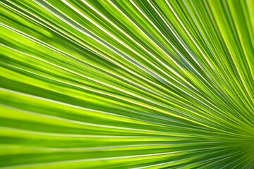 Fototapeta premium Nature green background, tropical leaf texture. Tropical green pattern texture.