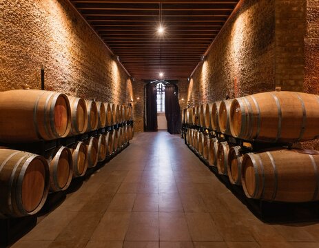 Una bodega con barricas de vino reposando que transmite tradici&oacute;n vin&iacute;cola, envejecimiento del vino para enoturismo y experiencias premium del mundo vin&iacute;cola