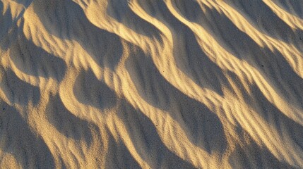 Rippling sand dunes forming mesmerizing patterns under the soft glow of the setting sun