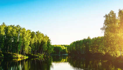 Sunrise or sunset near the pond with birches on a sunny summer day. Vintage film aesthetic.