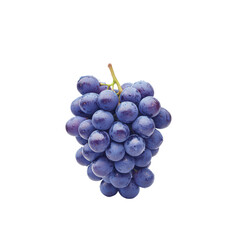 Fototapeta premium A group of grapes neatly bunched together, clean and elegant composition, conceptual image, deep purple tones isolated on transparent background.