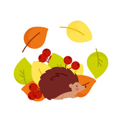 Cute autumn hedgehog in a composition of autumn leaves and berries