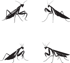 Insect graphic vector silhouette on white background