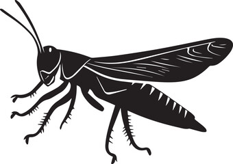 Insect graphic vector silhouette on white background