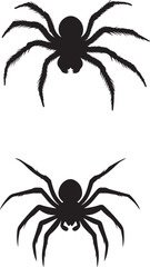 Insect graphic vector silhouette on white background