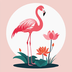 pink flamingo in water