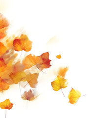 PNG Autumn leaves backgrounds sunlight plant.