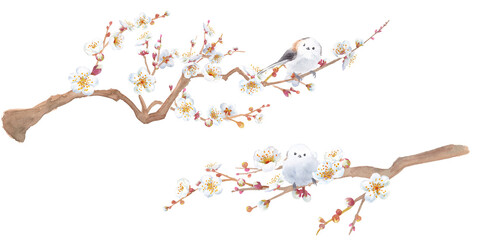 白い梅の花と野鳥（エナガ）の水彩イラスト。日本文化。