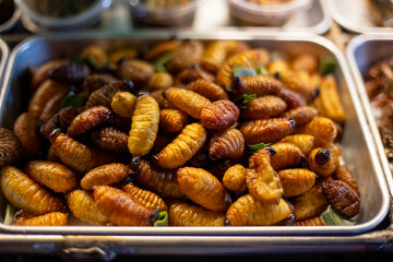 Street food. Dried and fried exotic delicacies of insect larvae at a night food market