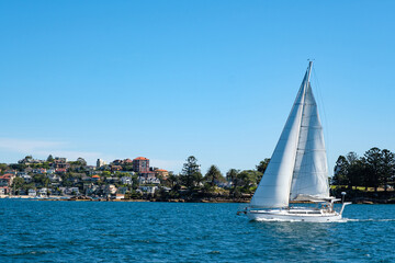 A sail travelling across the sea near Rose Bay and Watsons Bay in Sydney, Australia