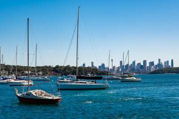 Fototapeta premium Rows of Yacht at Watsons Bay with Sydney CBD in background