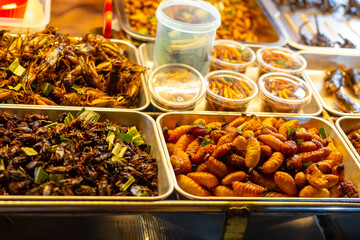 Street food. Dried and fried exotic delicacies of larvae and insects at a night food market