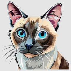 Pet cat vector image illustration and artwork