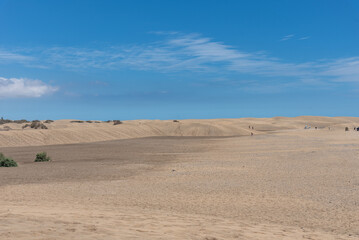 マスパロマス砂丘