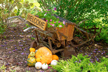 Vintage farm machinery in the garden